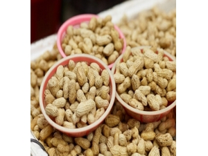 ����������ʲô�ô�?����Ի������ʷ�