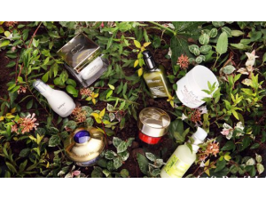 ��ֲ�ﻤ��Ʒ��ѡ����