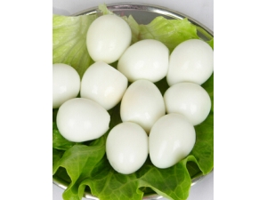 �̲�����?�����ϵ��̲�ʳ��