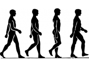 小心!这几种走路姿势才是造成你大象腿的原因