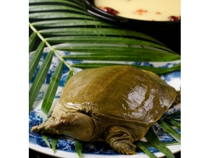 ��������������?��йʳ��