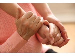 ��ô�����������ֽ���ľ �ֽ���ľ����6������