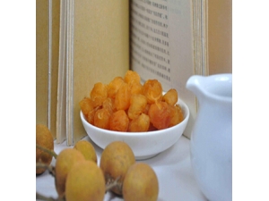 ��Բ�Ĺ�Ч������?��Բ���Ӫ����ҩ�ü�ֵ