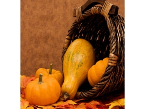 �Ϲϵ�Ӫ����ֵ?ҩ�ü�ֵ��