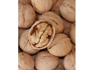 ���ҵĳԷ�?3���³Է�N���¹�Ч