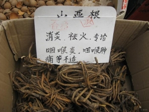 ɽ�������Ƚⶾ����������