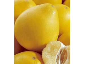 �����ӵĺô�?Ů���＾�����ӽ�θ����