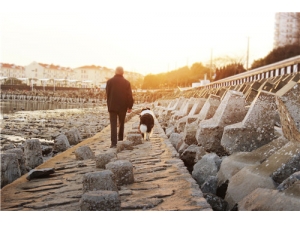 ʹ��Ӧ�ó�ʲô ����ʹ���ƫ��