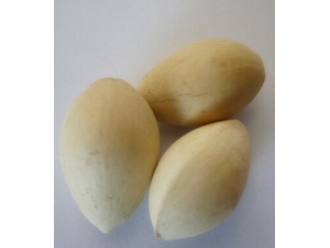 ���Ա���?��Ҫ���Եļ���ˮ��