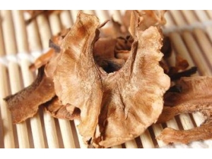 ֵľͷˢӣ˳˲Ů˳˲Ѫ