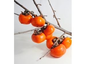 ������ʳ?���첻�˶�������6��ˮ��