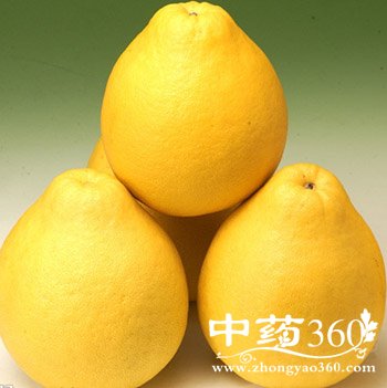 ������ʲôӪ��,����Ӫ���������÷�����