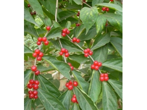 ���˷����κ���?�������˷���ط�����Щ��