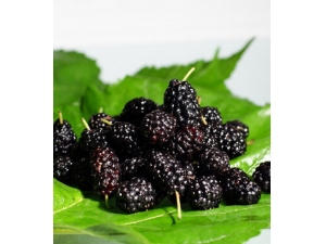 �����ʲô?�������Щˮ���ã�