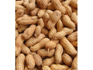 ���Բ���?���β������ɶಹ��ά����E