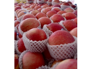 ƻ�����ʷ�?ƻ��������������