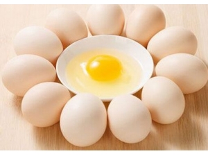 ����ʳ�����ɰ��㻺�����Ȧ��