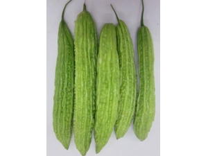 ��ϵ�����?�ļ��������������