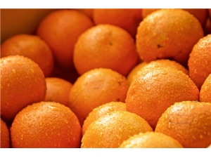 ���ӵĹ�Ч������ ���ӵ�ѡ������