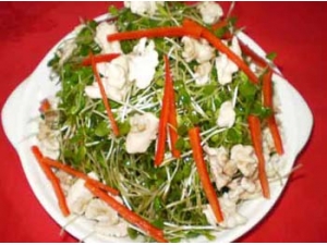 ��������˵����� �������������ô����