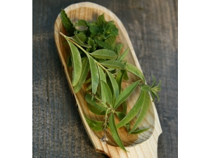 吃什么可以排毒养颜?冬季排毒养颜的七宝