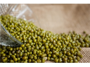 ���̶������� ���̶����и�������