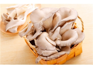 ƽ������ЩӪ����ֵ ƽ���Ĺ�Ч������