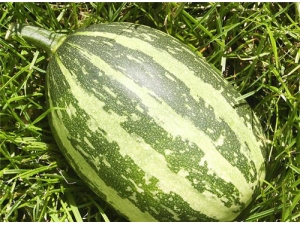 ���ⶬ���������� ���ⶬ��������ô����