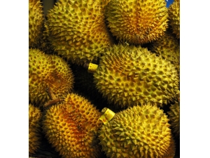 ������ô��?���ȴ�ˮ��֮����������ô�ԣ�