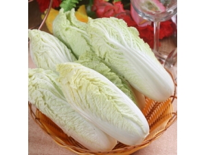 �����ʲô��?����������ײ˲�����