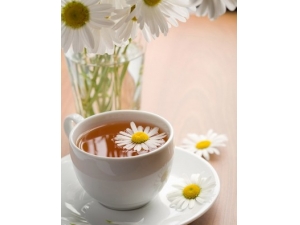 ����²�?�ļ�����غȵ�������