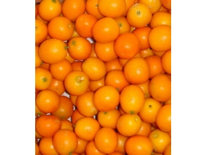 ������ʲô?���ƽ���ˮ���������������