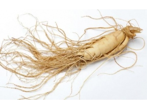 ��ð�ڼ�Ӧ�������ʳ ��ð�ڼ����˲�