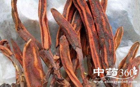 回春草的禁忌 回春草的注意事项 回春草的功效与作用