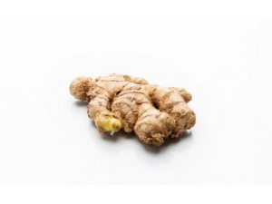 ��ҩ�ݽź��� ��Щ��ҩ���������ݽ�