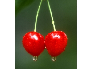 �����ʲôˮ����?�Զ�ˮ���ճ�С������վ