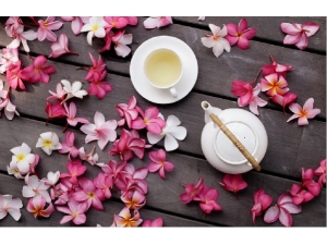 ΪʲôŮ�Բ��ܳ������û��ݲ� ��֪��ԭ����