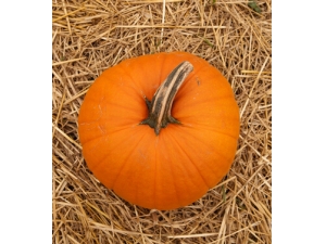 �Ϲϵ�Ӫ����ֵ?���Ϲ�ʱע����6�����