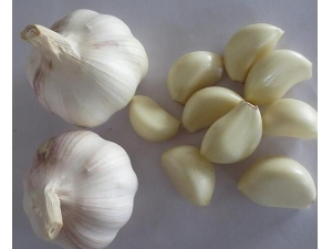 �����������Ժ����ҽ�� �߷���Ⱥ���Ԥ������