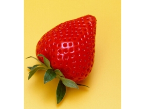 ��ʲô�Ŷ�?ˮ������õ��Ŷ�ʳ��