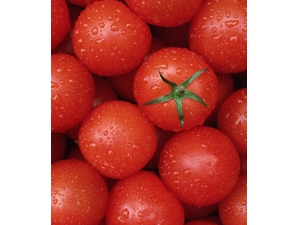 ���������ĺô�?���������������չ�Ч