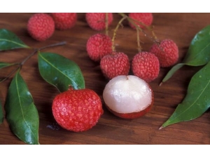 ��֦�Ĺ�Ч������ һ����������