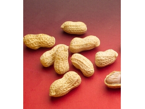 ������ʳС��ʶ?�����������˵ġ���������