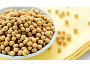 ��Щʳ���ܹ��������Խ��� ���������õ�ʳ��