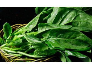 ����Ĳ���֮����ɶ �Բ��˵ĺô�