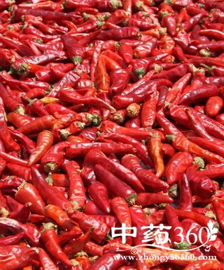 如何美容护肤,女性吃辣椒美容又护肤