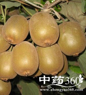 ⨺ҵĹЧ,ʥƷ⨺ҵļԭ