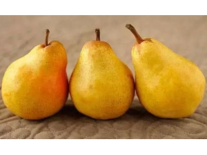 ������������ ů�������ʲôˮ����