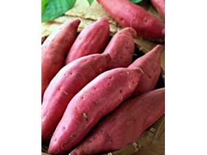 ����ʳ��?���ʺ�����1����������8��