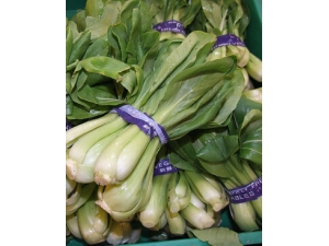 �����?�嵭����ɰ������������